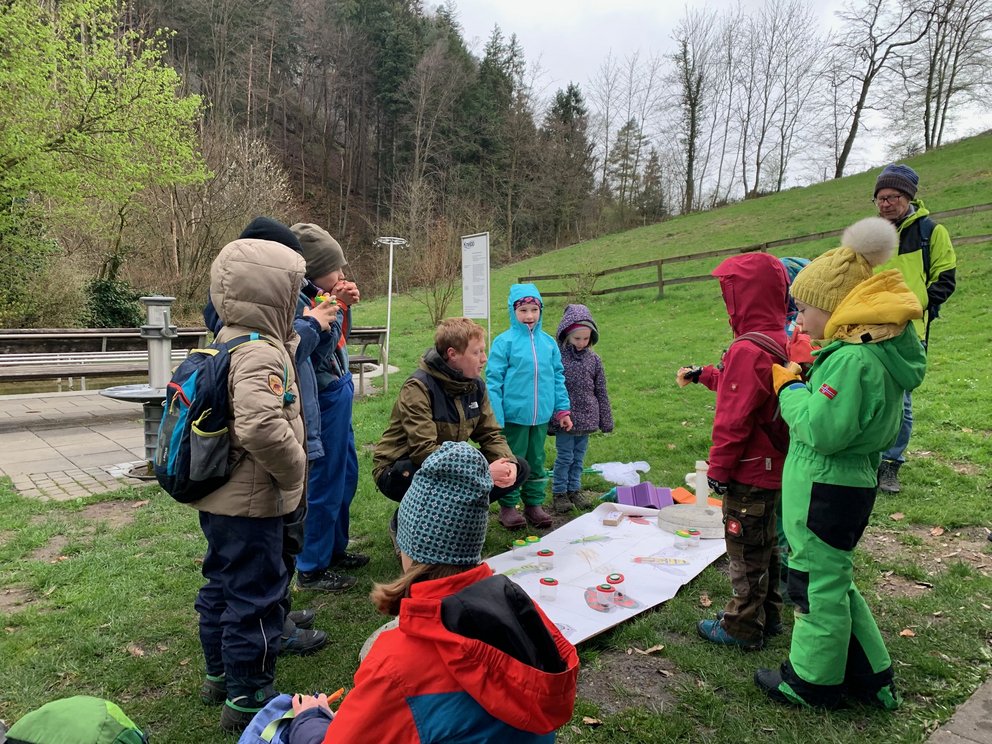 Wunderwelt der Insekten