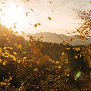 Tanz dich frei im Herbst